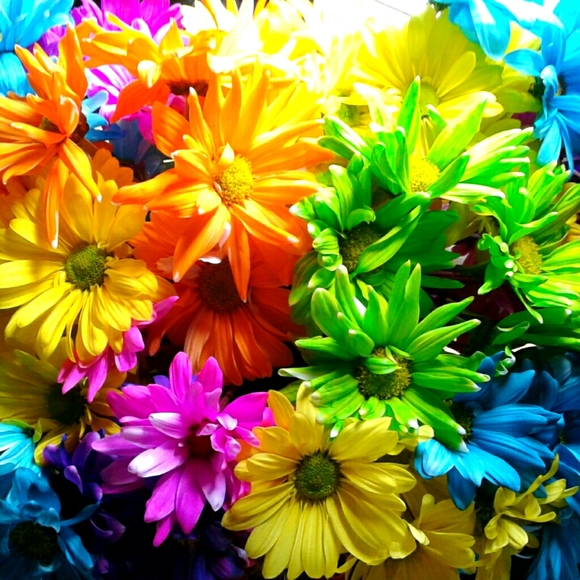 Meet your Posher, Jennifer j. - Picture 1 of 1